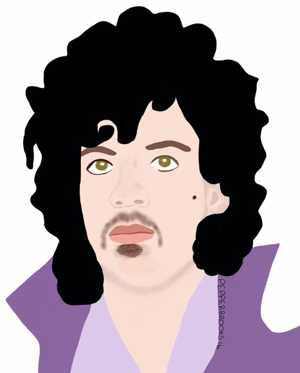 Prince Rogers Nelson illustration